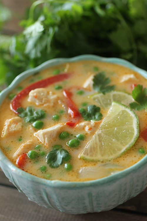15 Minute Thai Chicken Soup