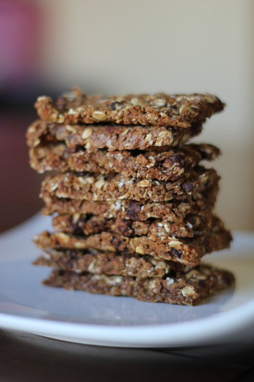 Homemade "Fit" Granola Bars | Dashing Dish