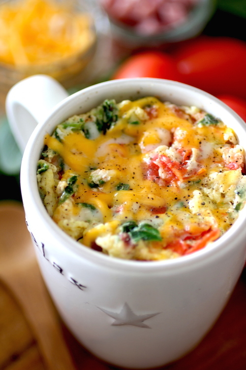 2 Minute Omelet in a Mug Dashing Dish