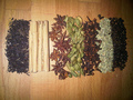 Tea_wallah