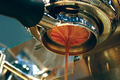 Synesso-nectar_landscape_2000