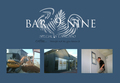 Barnine_web_800