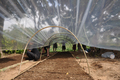 Plantingbeds2