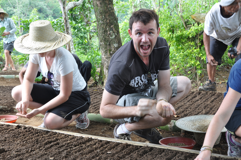 Planting