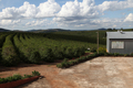 Villa-boa_1500