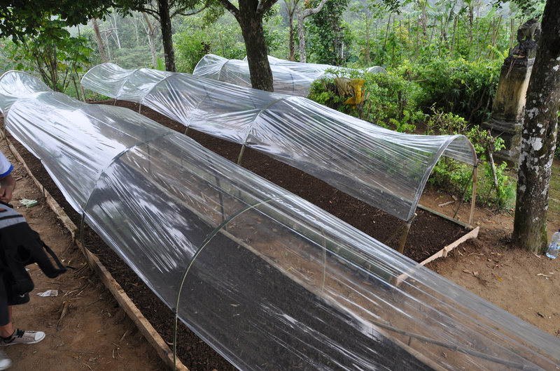 Plantingbeds