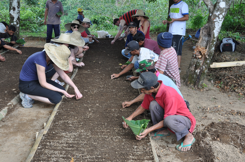 Planting2