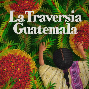 Guatamala_new