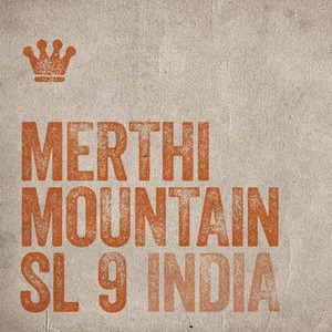Merthims9i