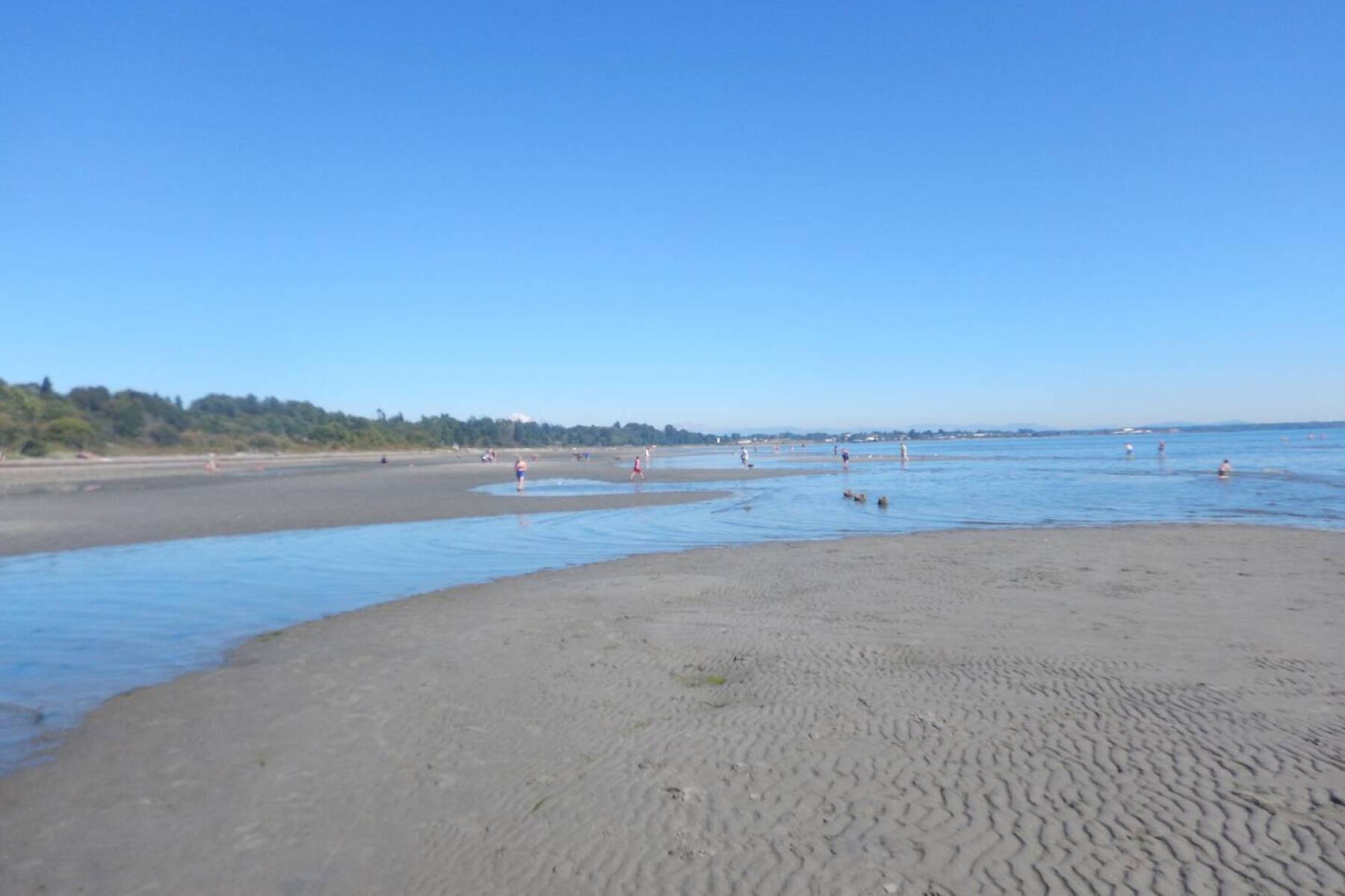 White Rock Beach House walking distance to beach