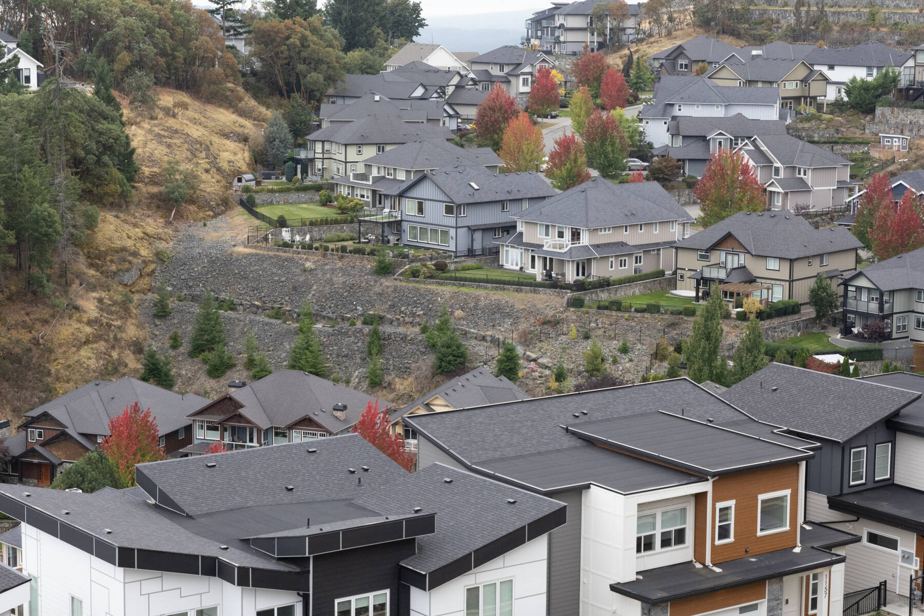 Bear Mountain Luxury Four-Bedroom House