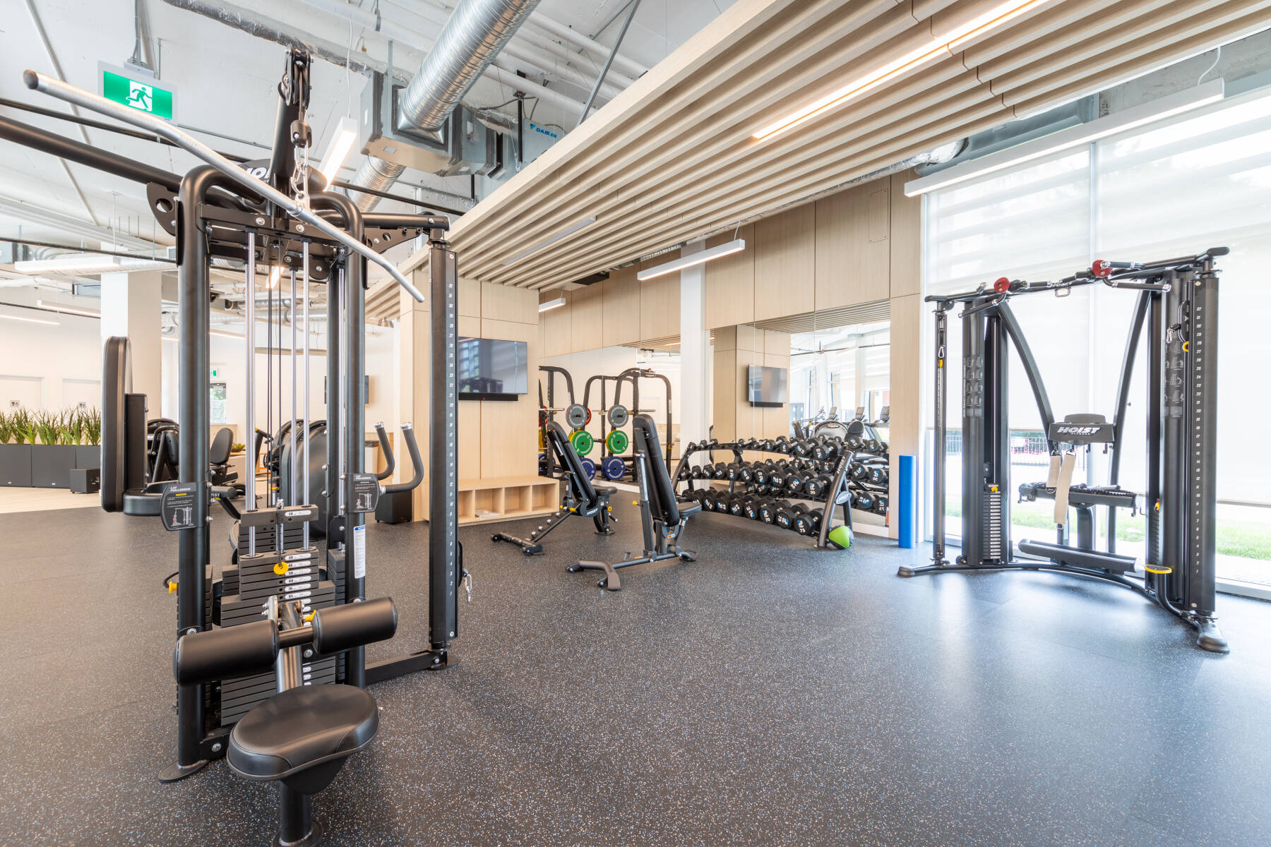 King George Suite with City Views