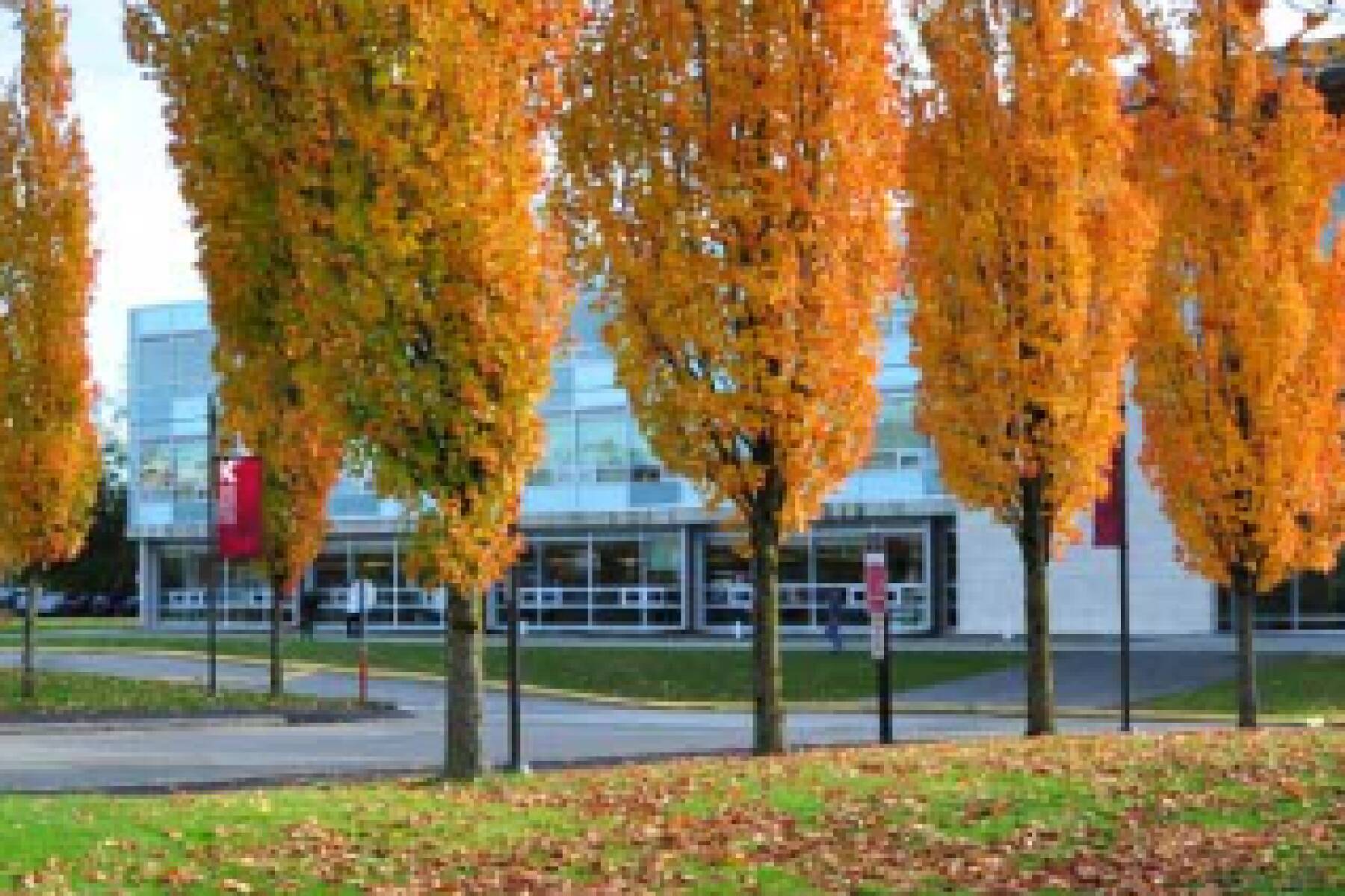 The Langley Courtyard Home | 2BR, 2BA for 6 Guests