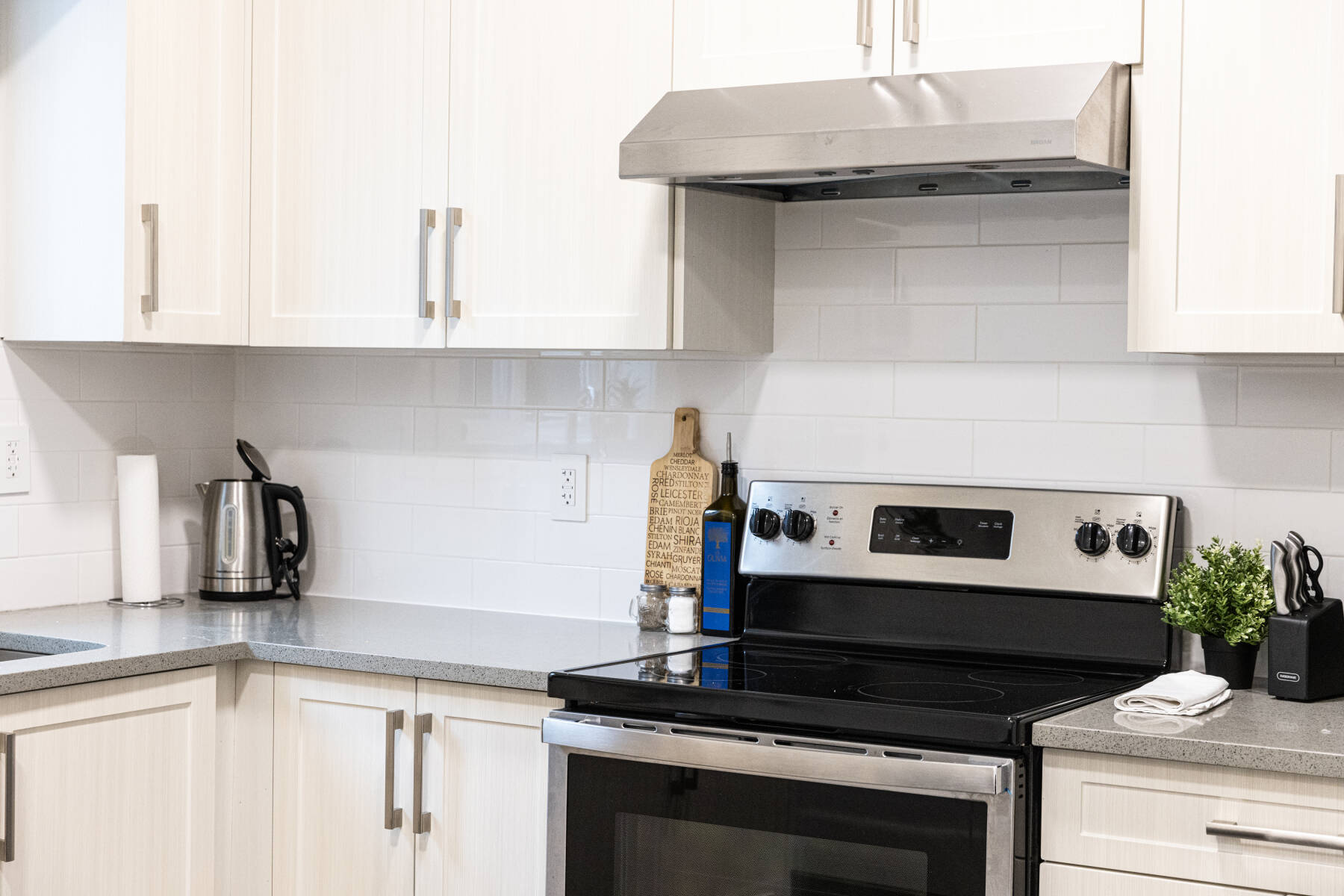 Bright & Modern 1-Bedroom Suite