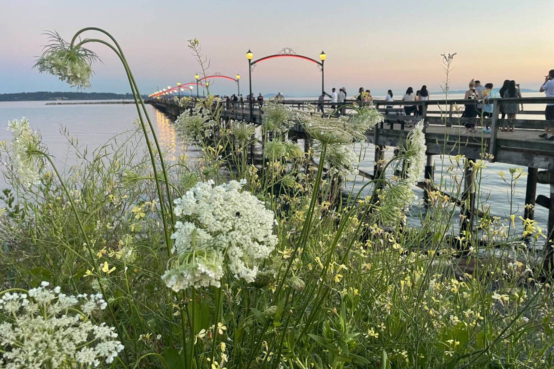 White Rock Beach House walking distance to beach