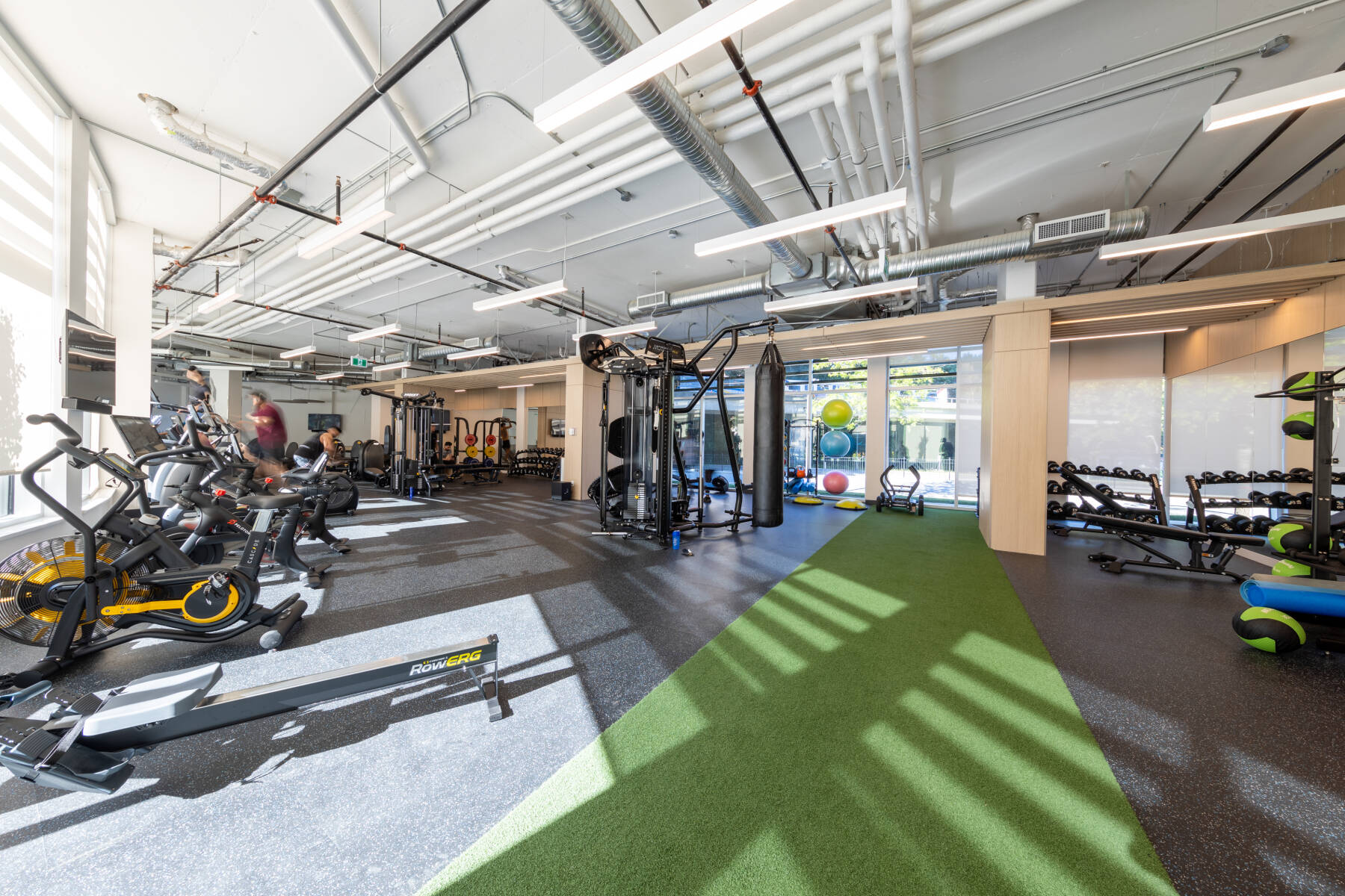 King George Hub View Suite, Modern Luxury