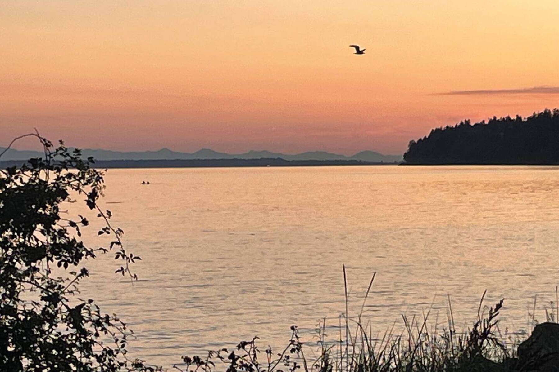 White Rock Beach House walking distance to beach