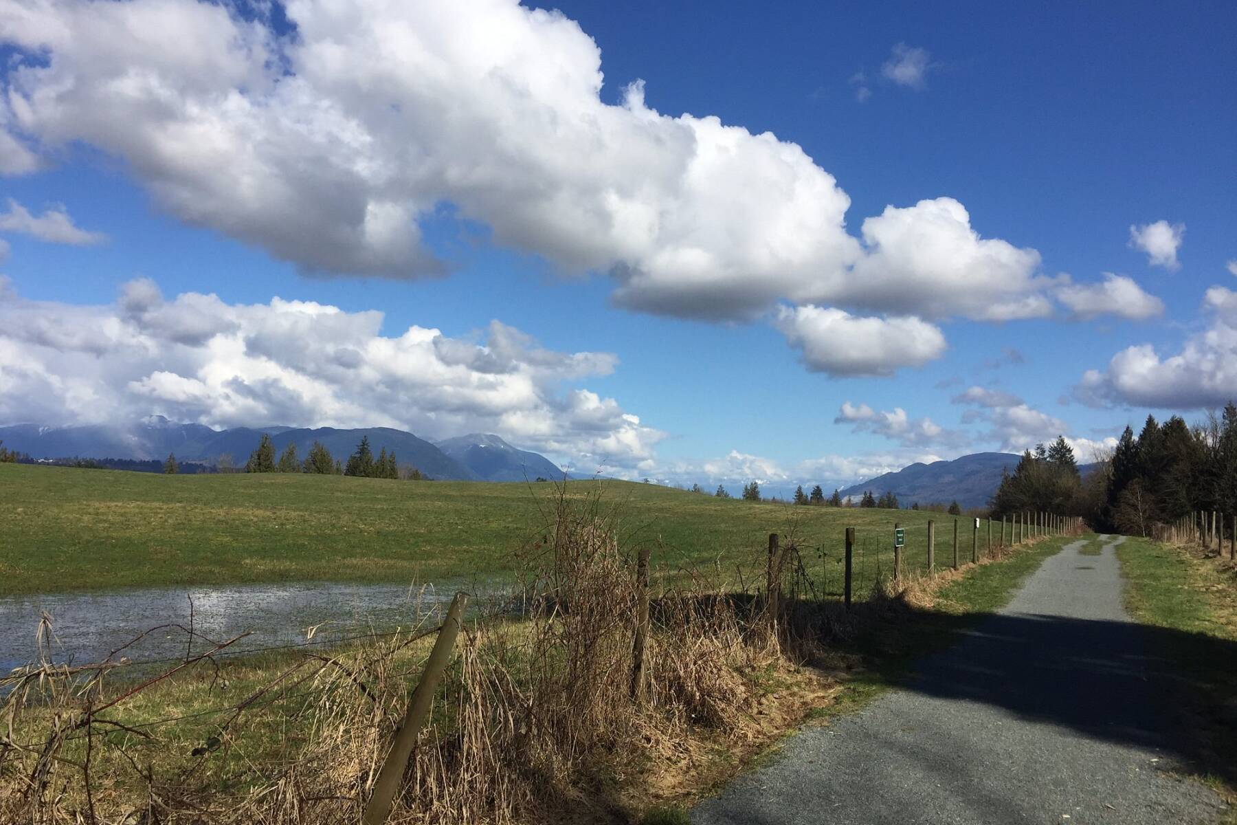 Brand New Luxury Mill Lake Penthouse