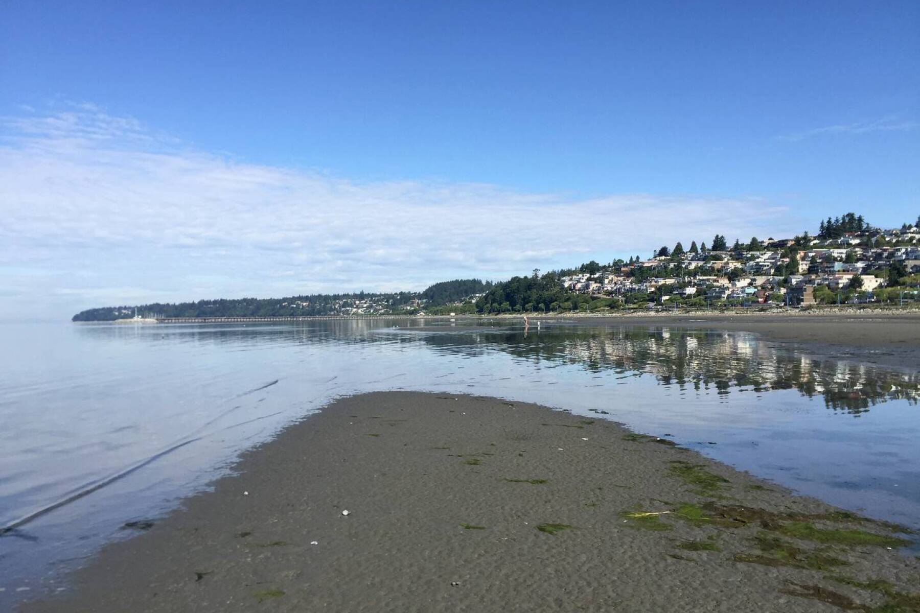 White Rock Beach House walking distance to beach