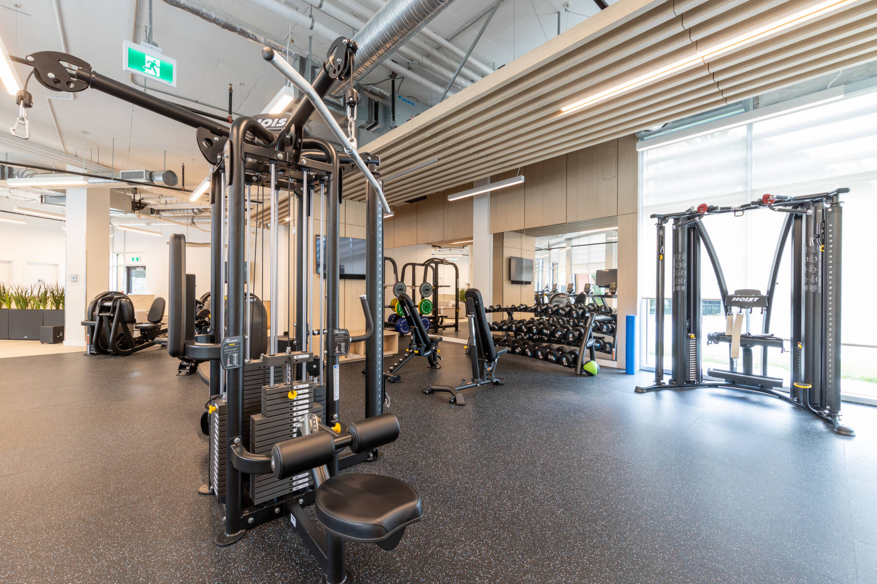 King George Suite with City Views