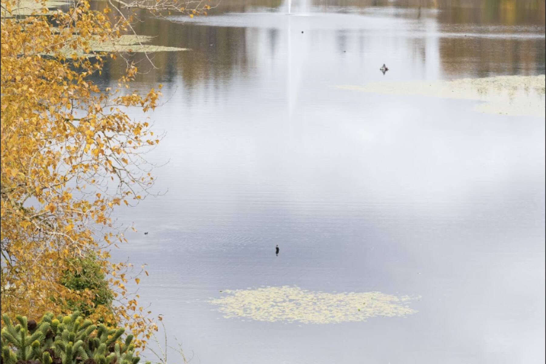 Brand New Luxury Mill Lake Penthouse