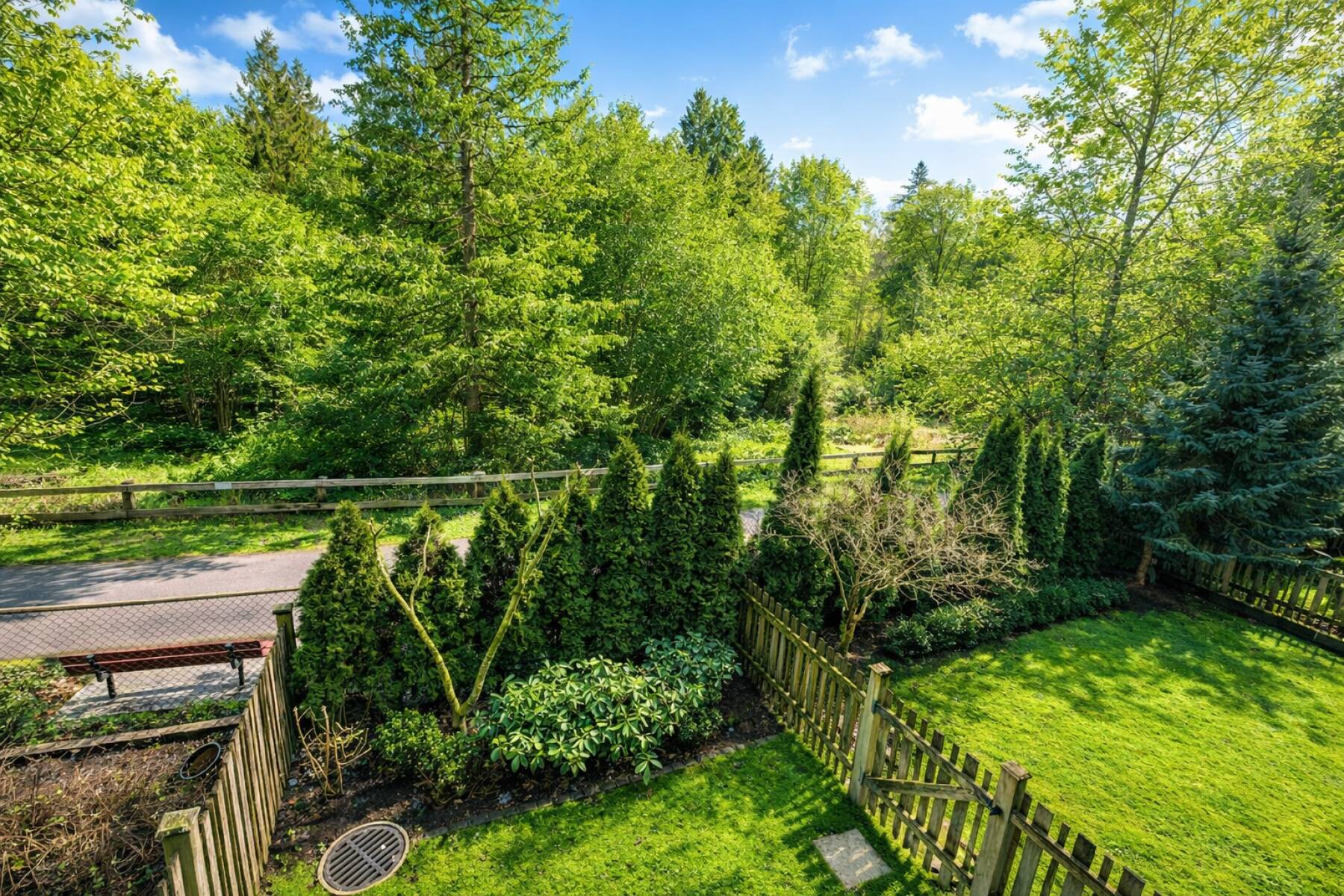 Friendly Forrest Home in Yorkson Willoughby Langley