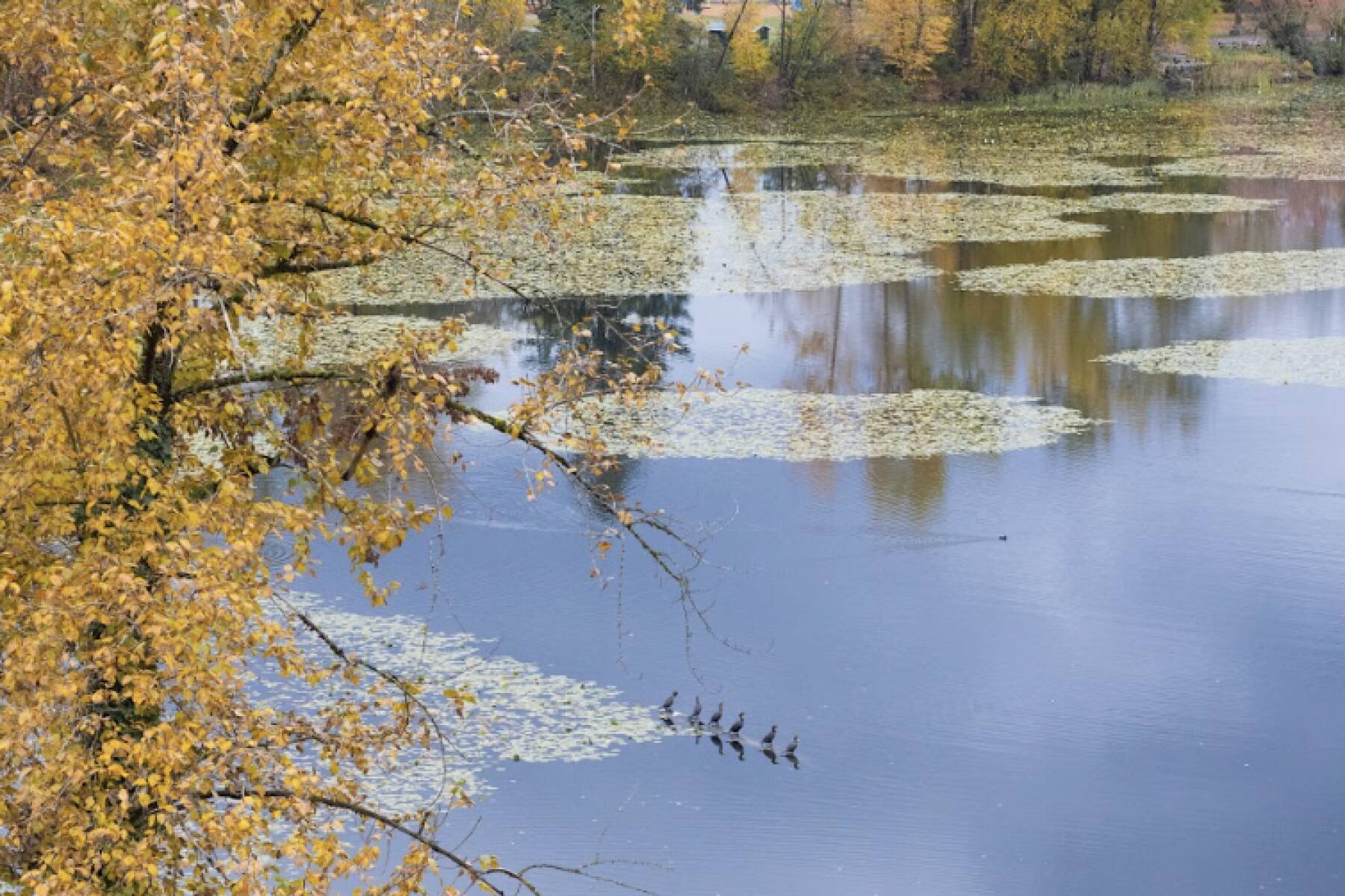 Brand New Luxury Mill Lake Penthouse