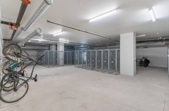 Building and Amenities