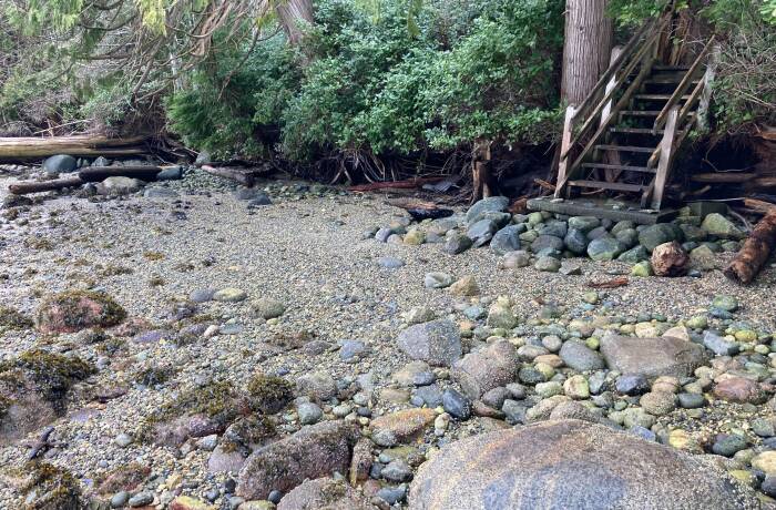 Expansive Yard with Beach Access