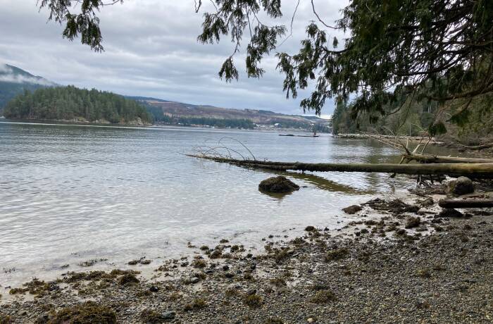 Expansive Yard with Beach Access