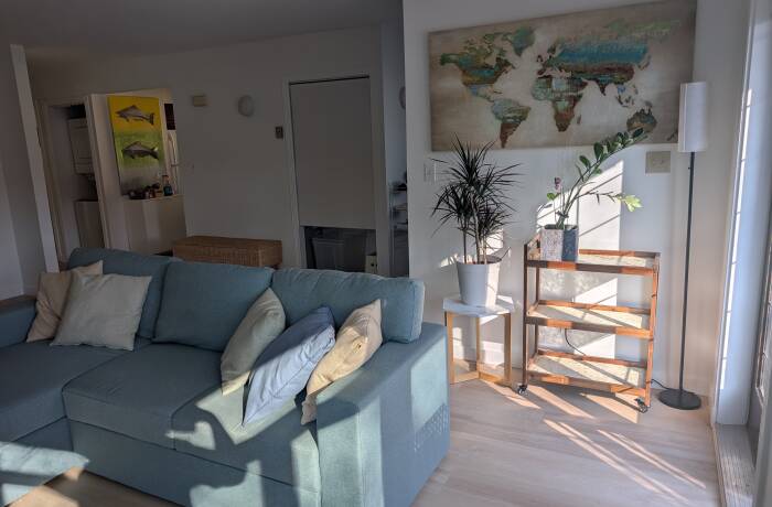 Living Area with Queen Sofa Bed