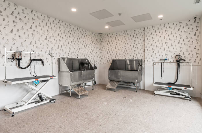 Building and Amenities