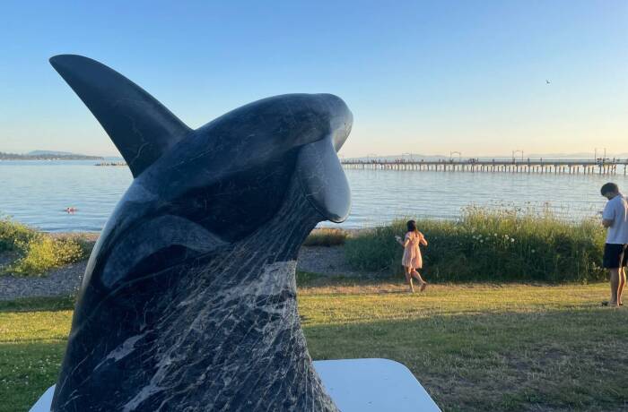 Exterior and Additional Photos