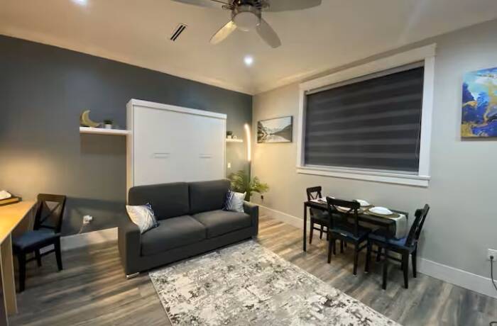 Studio Living Room and Murphy Bed