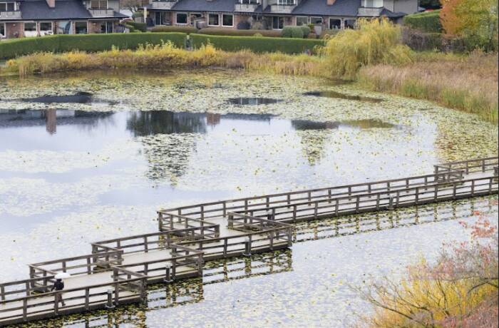 Building and Area (Mill Lake Park)
