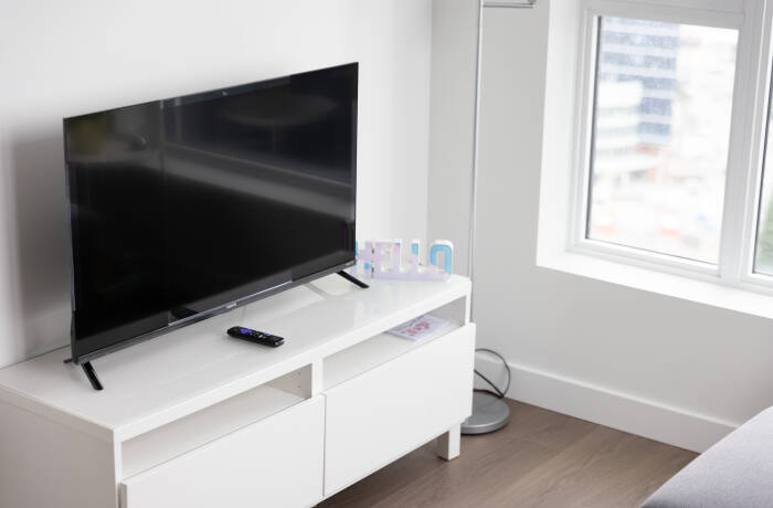 Living Room with Hide-a-bed