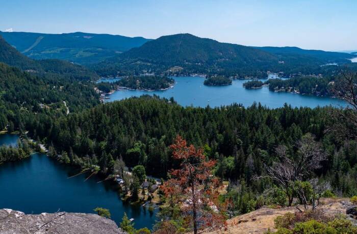 Nearby Amenities & Attractions