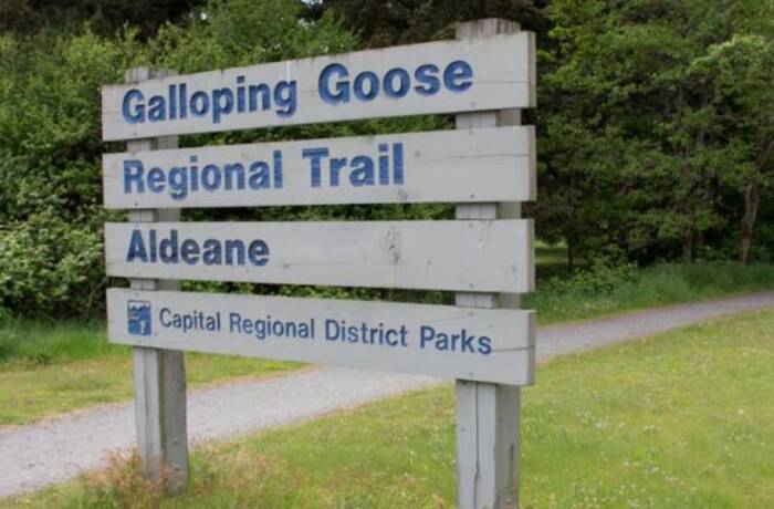 Nearby Amenities & Attractions