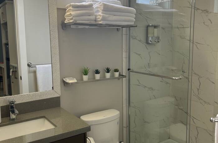 Bathroom with Walk-in Shower