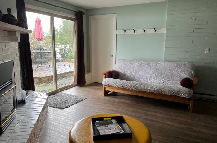 Downstairs Living Room