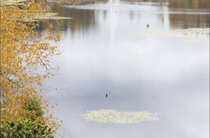 Building and Area (Mill Lake Park)