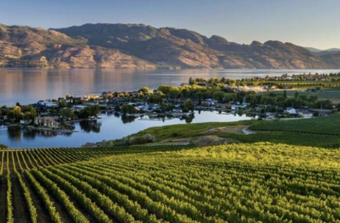 Nearby Tourist Spots & Amenities