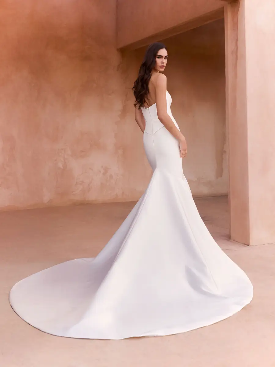 Pronovias  Fernelle wedding dress