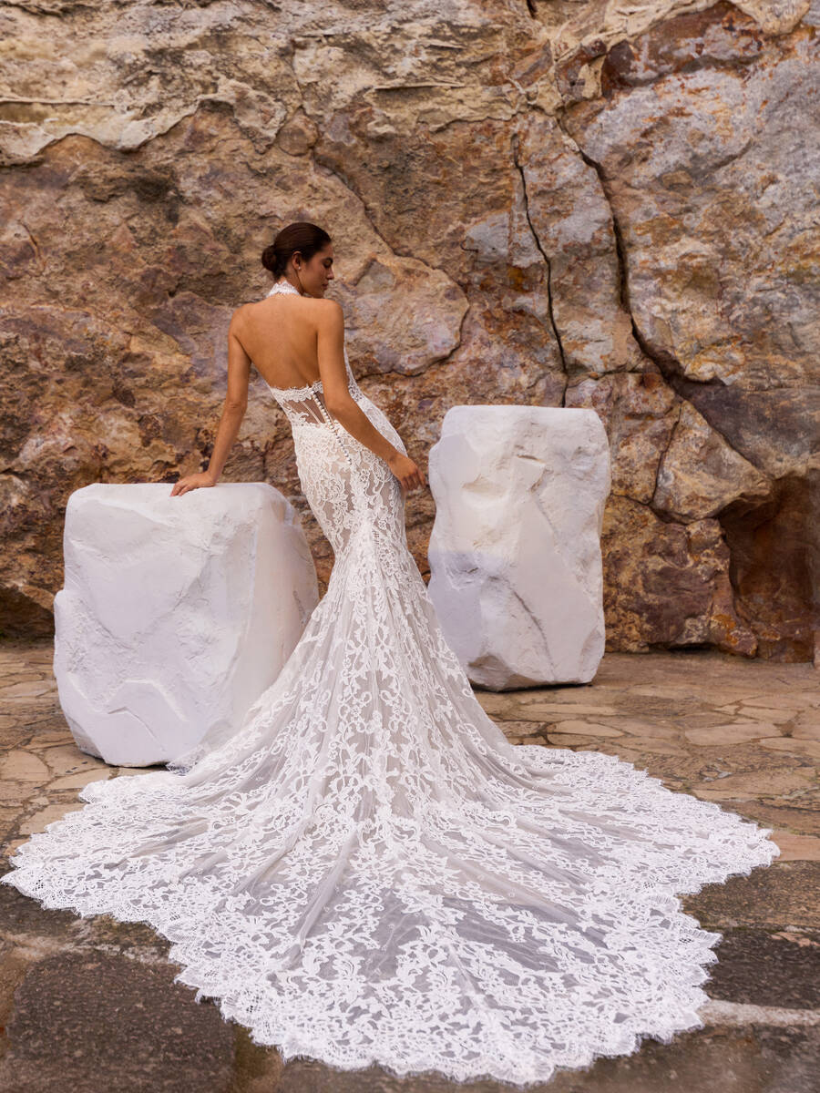 Pronovias  Wonia wedding dress