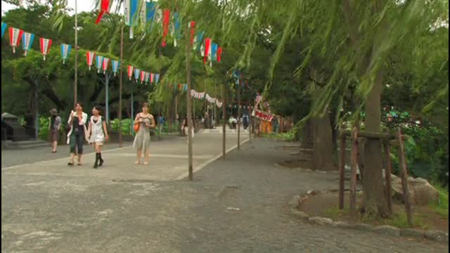 Tokyo Tours Tokyo Tours