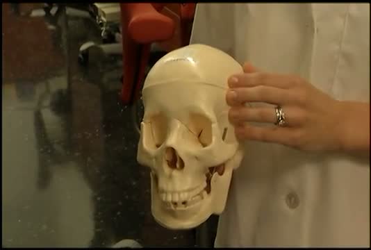 Bone Scaffold: Medicine’s Next Big Thing