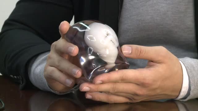 Japan firm offers 3D model of foetus