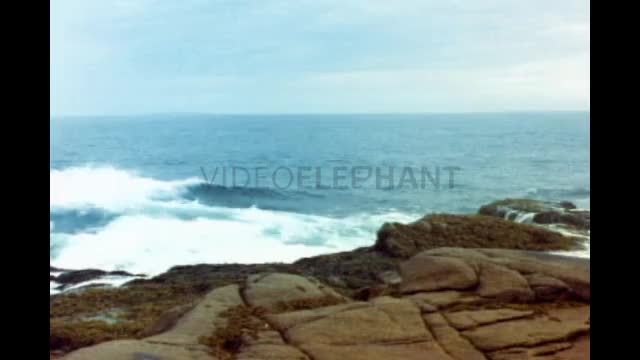 Waves