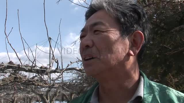 Farmers hit by Japan nuclear scare