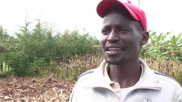 Kenya's high altitude running capital